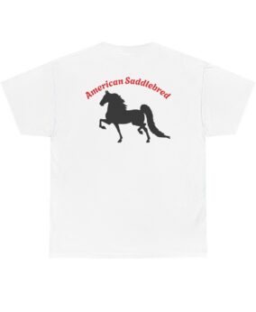 CS -  American Saddlebred Horse